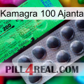 Kamagra 100 Ajanta new04